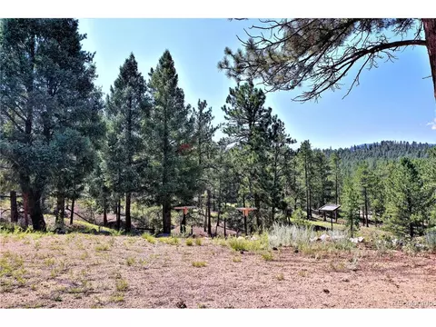 23884 Pine Top Ave, Pine, CO 80470 photo 21