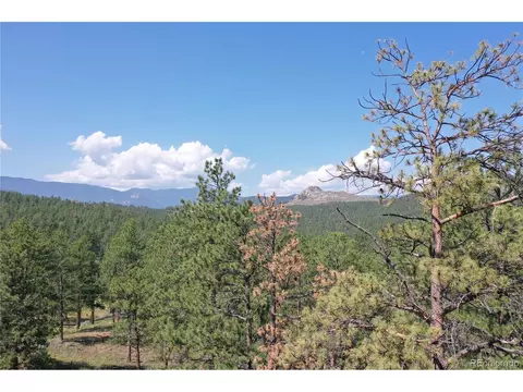 23884 Pine Top Ave, Pine, CO 80470 photo 22