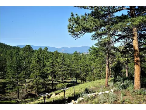 23884 Pine Top Ave, Pine, CO 80470 photo 24