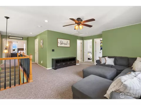 2050 E 101st Ct, Thornton, CO 80229 photo 25