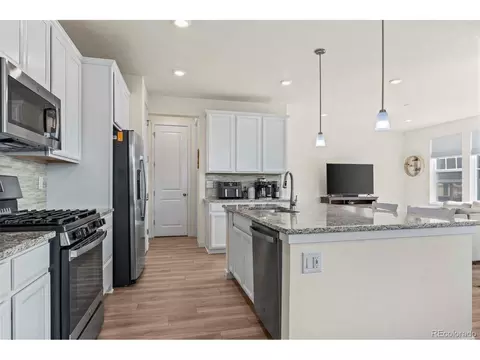 17520 E 95th Ave, Commerce City, CO 80022 photo 5