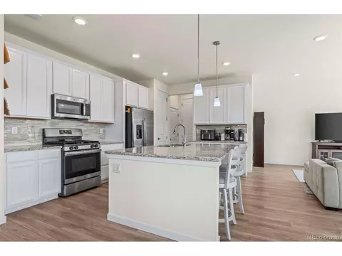 17520 E 95th Ave, Commerce City, CO 80022 photo 4