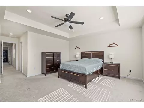 17520 E 95th Ave, Commerce City, CO 80022 photo 15