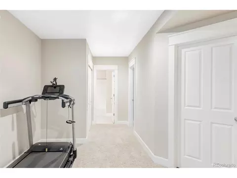9124 E 29th Pl, Denver, CO 80238 photo 24