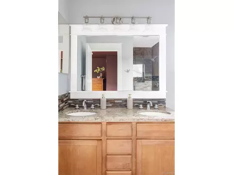 9124 E 29th Pl, Denver, CO 80238 photo 17