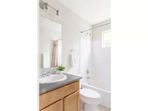9124 E 29th Pl, Denver, CO 80238 photo 20