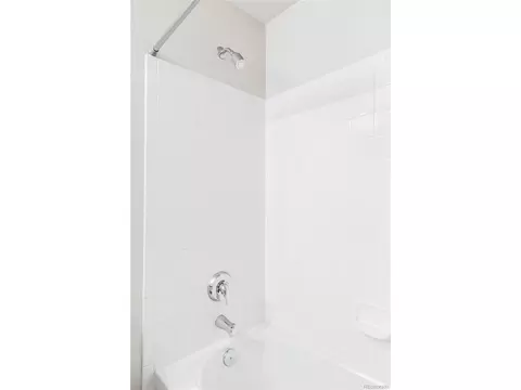 9124 E 29th Pl, Denver, CO 80238 photo 27