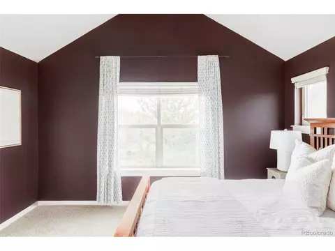 9124 E 29th Pl, Denver, CO 80238 photo 16