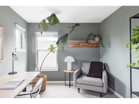 9124 E 29th Pl, Denver, CO 80238 photo 19