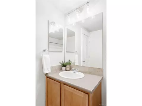 9124 E 29th Pl, Denver, CO 80238 photo 26