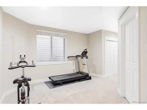 9124 E 29th Pl, Denver, CO 80238 photo 23