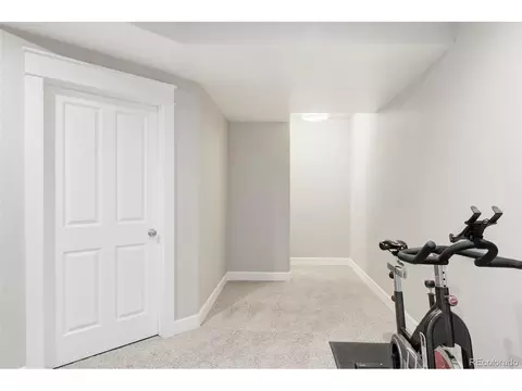 9124 E 29th Pl, Denver, CO 80238 photo 22