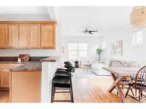 9124 E 29th Pl, Denver, CO 80238 photo 9