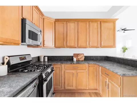 9124 E 29th Pl, Denver, CO 80238 photo 10