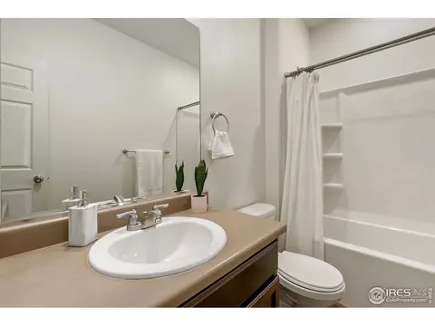 403 Harrow St, Severance, CO 80550 photo 14