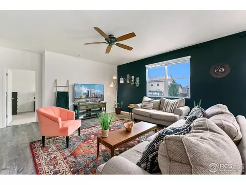 403 Harrow St, Severance, CO 80550 photo 6