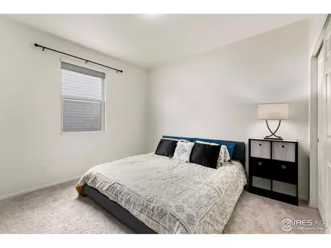 403 Harrow St, Severance, CO 80550 photo 11