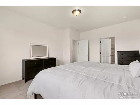 403 Harrow St, Severance, CO 80550 photo 9