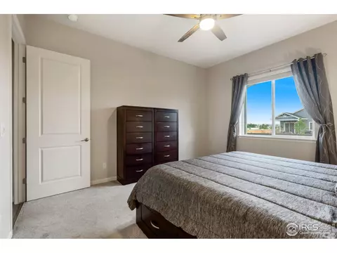 291 Sutherland Dr, Windsor, CO 80550 photo 14