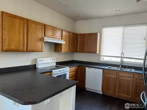 566 Cherryridge Dr, Windsor, CO 80550 photo 5