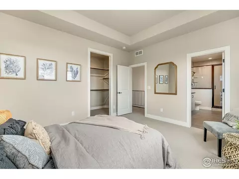 5282 Cloud Dance Dr, Timnath, CO 80547 photo 16