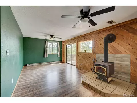 502 Burton St, Bailey, CO 80421 photo 9