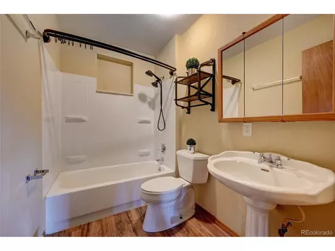 502 Burton St, Bailey, CO 80421 photo 20
