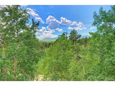 502 Burton St, Bailey, CO 80421 photo 12