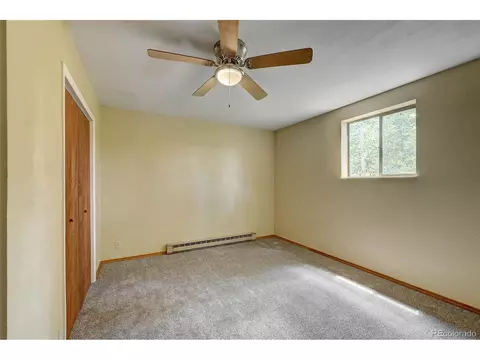 502 Burton St, Bailey, CO 80421 photo 18