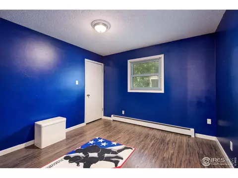 814 Locust St, Windsor, CO 80550 photo 18