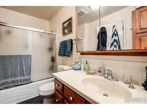 814 Locust St, Windsor, CO 80550 photo 14