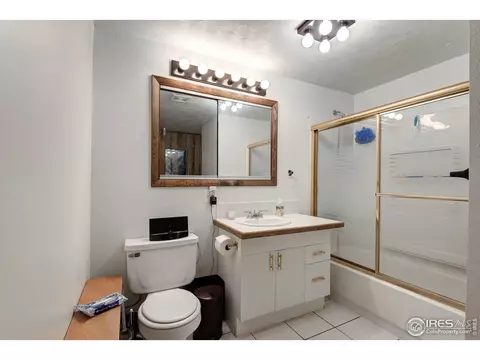 814 Locust St, Windsor, CO 80550 photo 23