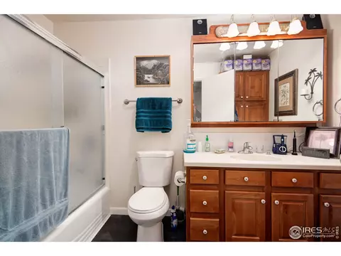 814 Locust St, Windsor, CO 80550 photo 13
