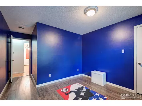 814 Locust St, Windsor, CO 80550 photo 17