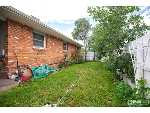 814 Locust St, Windsor, CO 80550 photo 28
