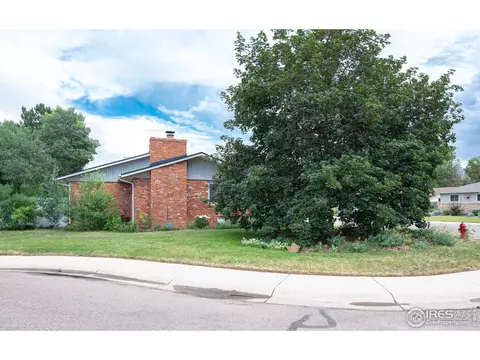 814 Locust St, Windsor, CO 80550 photo 3