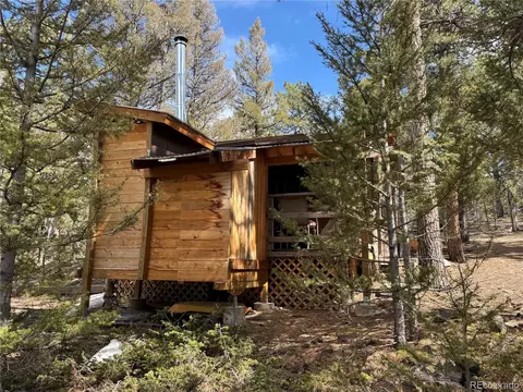 1666 Singletree Rd, Hartsel, CO 80449