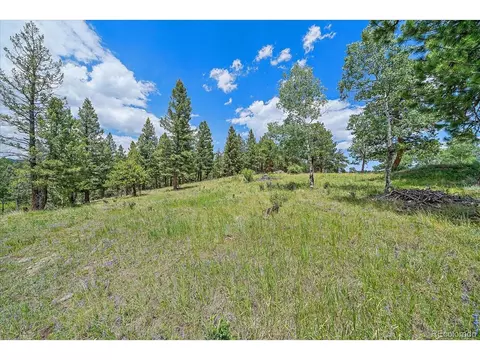 31231 Red Hawk Trl, Conifer, CO 80433 photo 48
