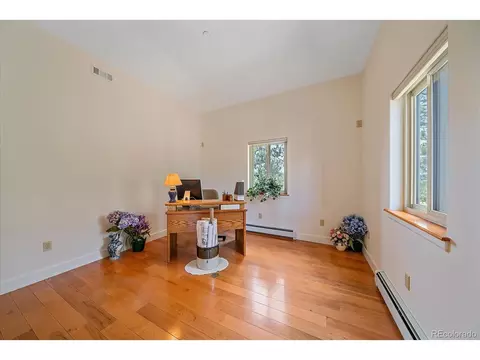 31231 Red Hawk Trl, Conifer, CO 80433 photo 7