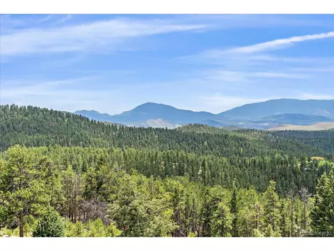 31231 Red Hawk Trl, Conifer, CO 80433 photo 45