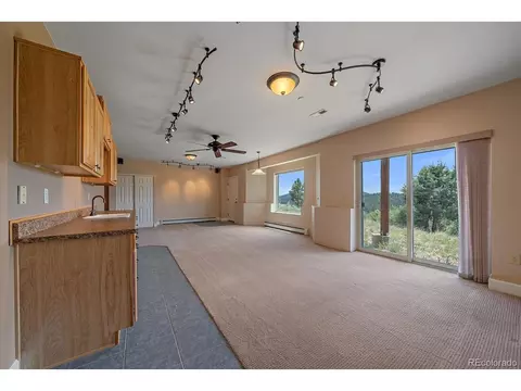 31231 Red Hawk Trl, Conifer, CO 80433 photo 37