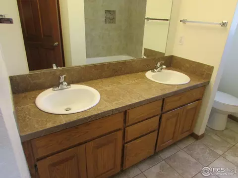 904 Pine Dr, Windsor, CO 80550 photo 24
