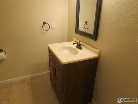 904 Pine Dr, Windsor, CO 80550 photo 27
