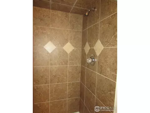 904 Pine Dr, Windsor, CO 80550 photo 28