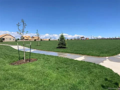 17761 Faraday St, Broomfield, CO 80023 photo 6