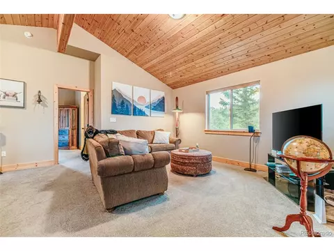 270 Chippewa Ln, Como, CO 80432 photo 19