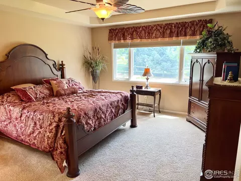 1535 Bison Run Dr, Windsor, CO 80550 photo 14