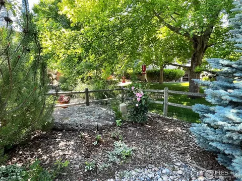 1535 Bison Run Dr, Windsor, CO 80550 photo 32
