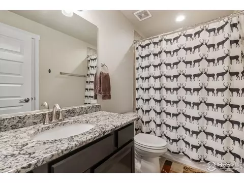 2182 First Light Ct, Windsor, CO 80550 photo 31