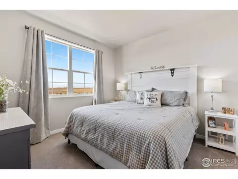 2182 First Light Ct, Windsor, CO 80550 photo 6